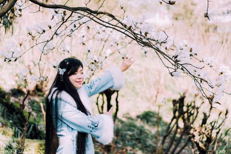 组装机械章鱼龙