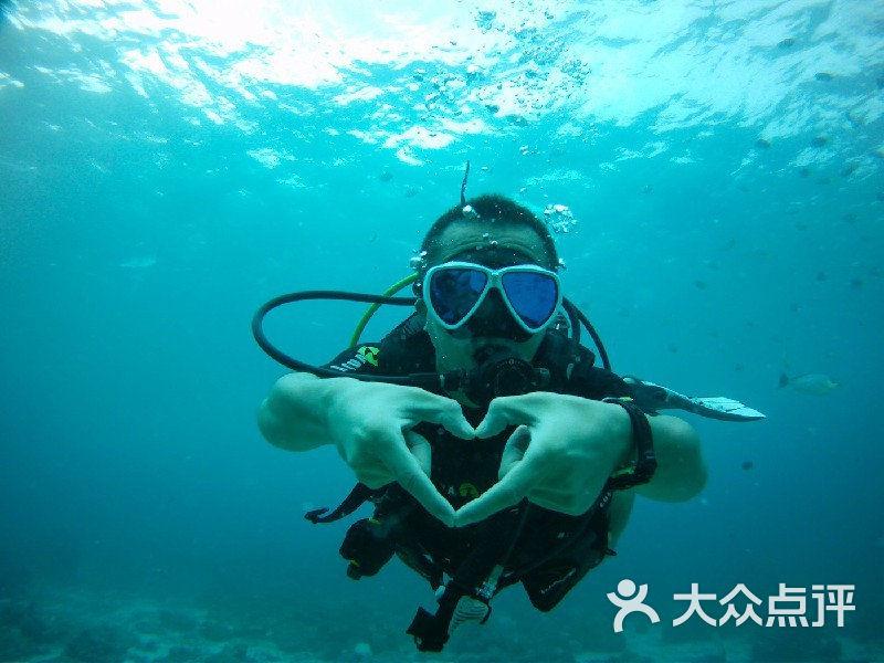 营造单身人设，被曝店铺抄袭，你感受到高嘉朗的欺骗吗？游戏画面
