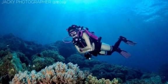 小猫钓鱼开船版最新版下载