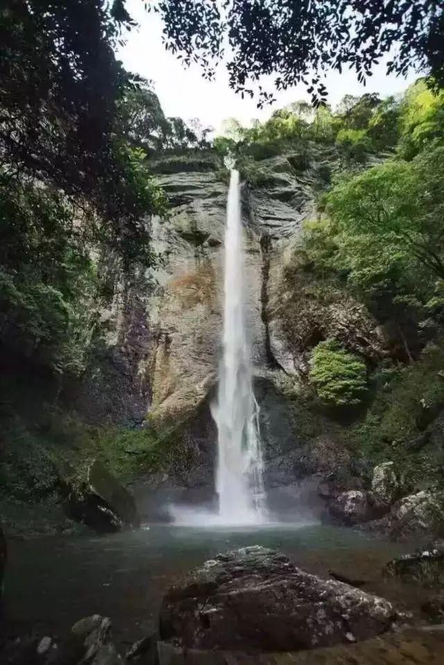 外星人坠落