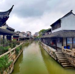 为什么刘邦在后期想要冒风险换掉太子呢？游戏画面